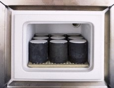 Renfert Magma for catalytic converter operation